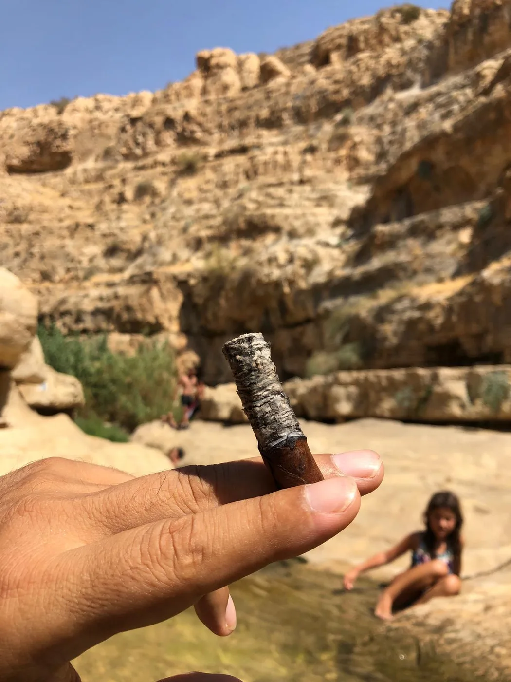 טוסקנלו וניל