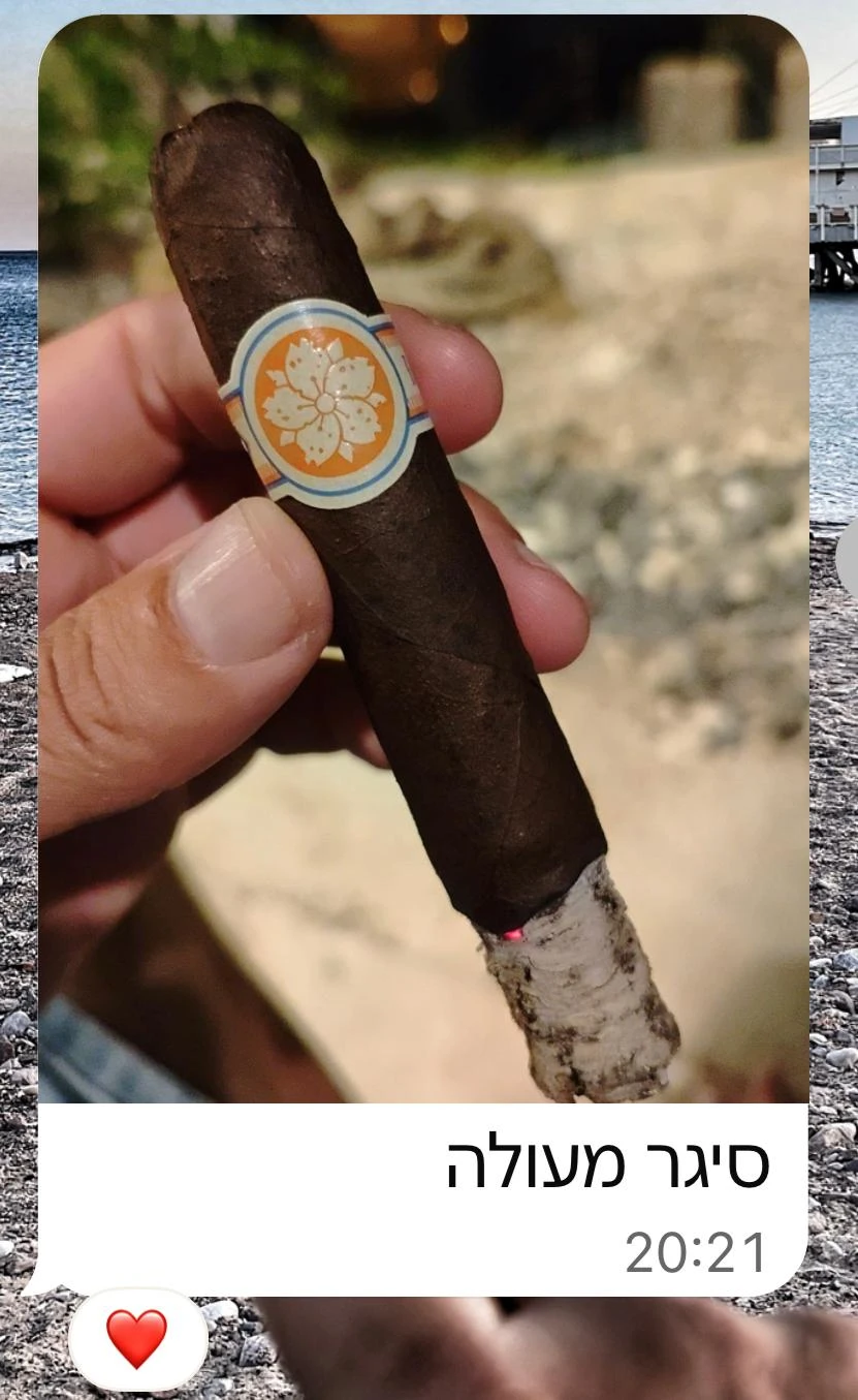 Room 101 ICHIBAN Maduro