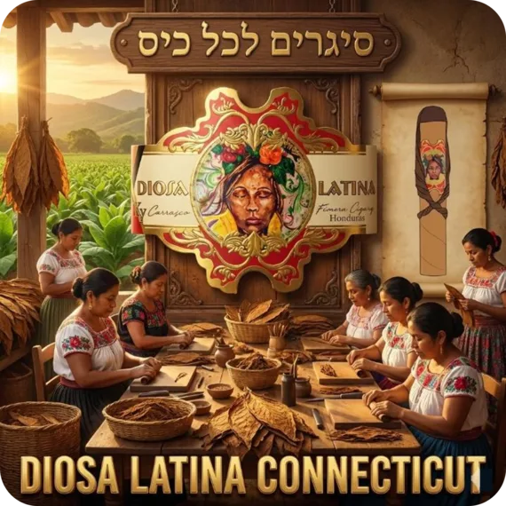 Diosa Latina Connecticut